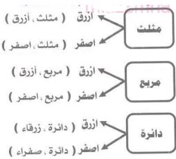 إجابة السؤال 5